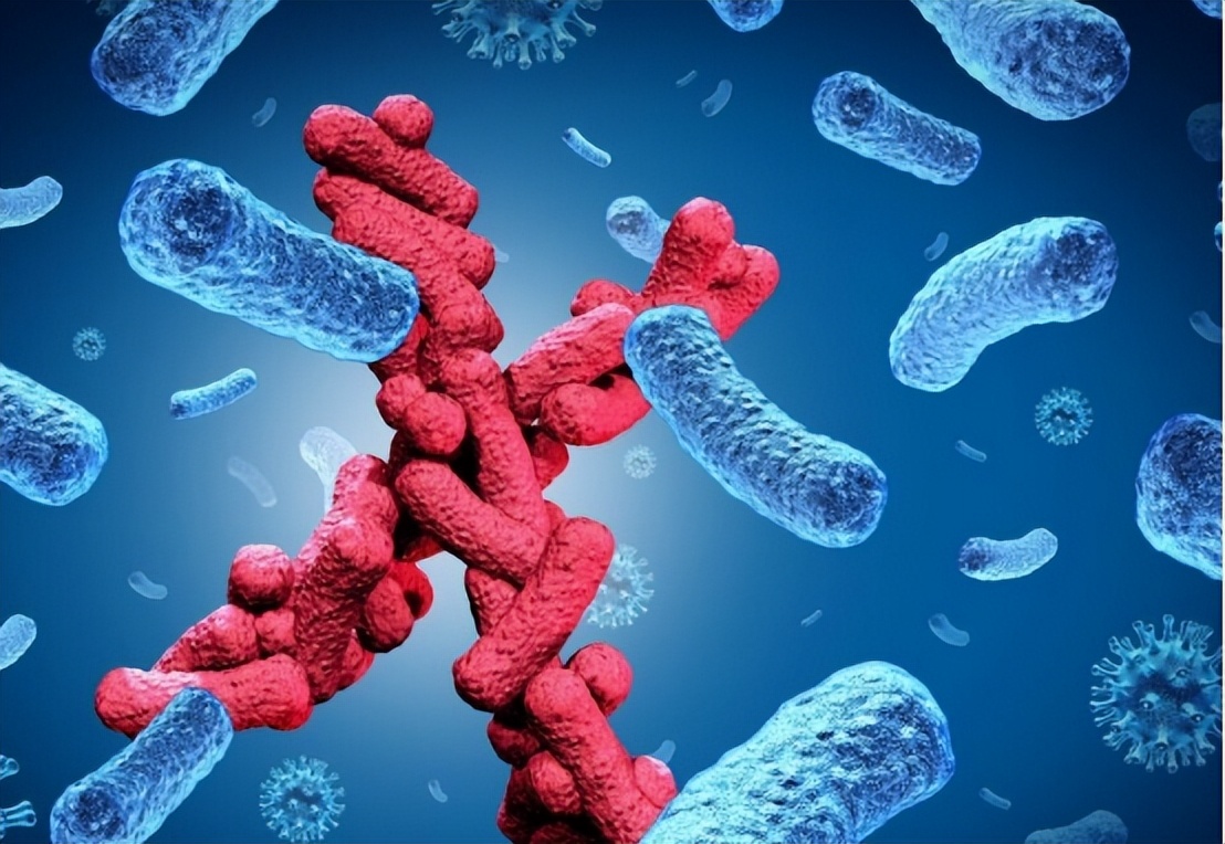 雌激素下降为何容易尿路感染,反复尿路感染能用雌激素吗