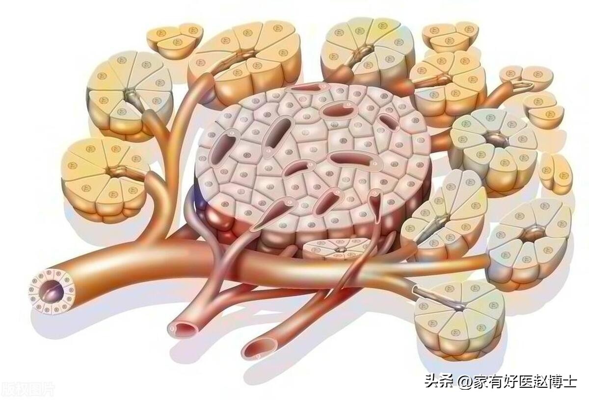 糖尿病患者身体出现这4个表现,糖尿病日常六个表现警惕肾脏损伤