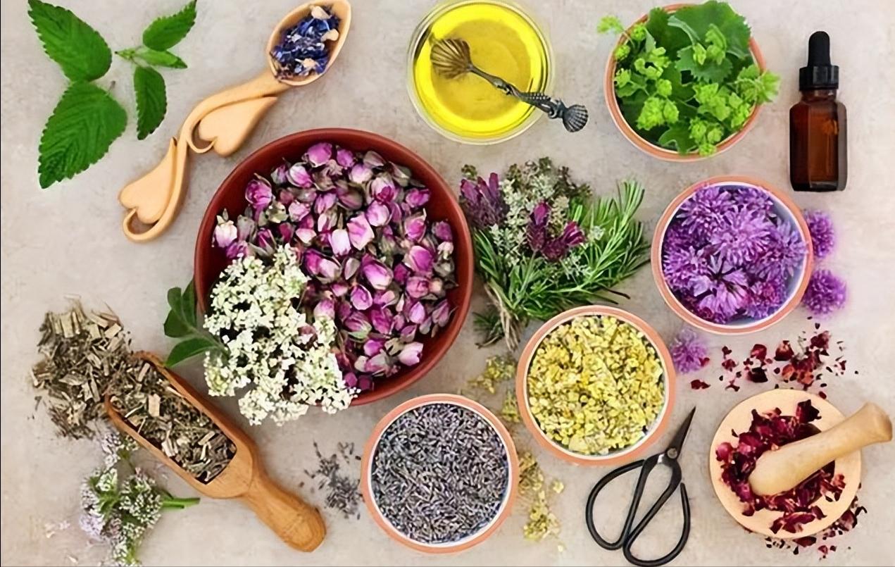 卧室净化空气有香味的植物,在卧室可以养的花好看香好养