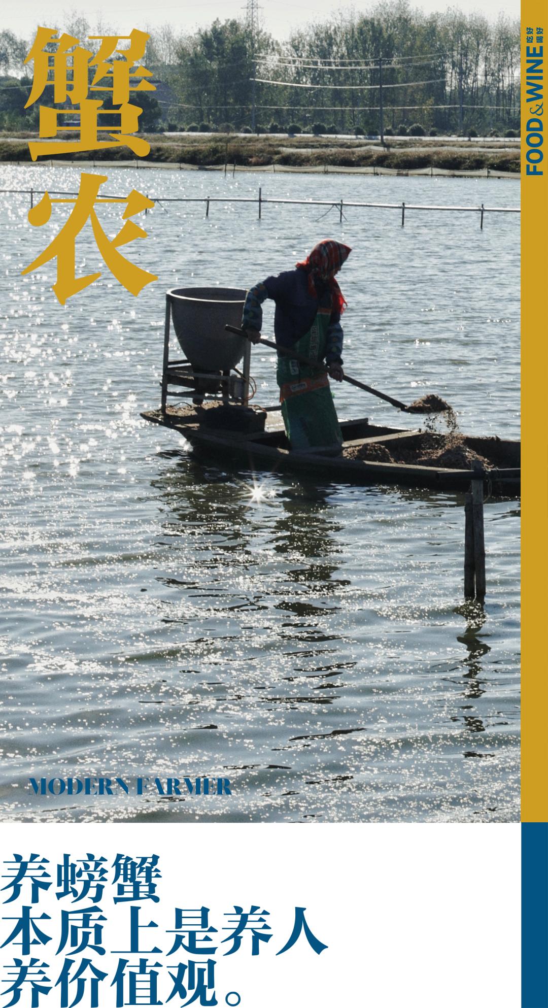 高邮湖螃蟹和洪泽湖螃蟹,阳澄湖高邮湖螃蟹哪个好