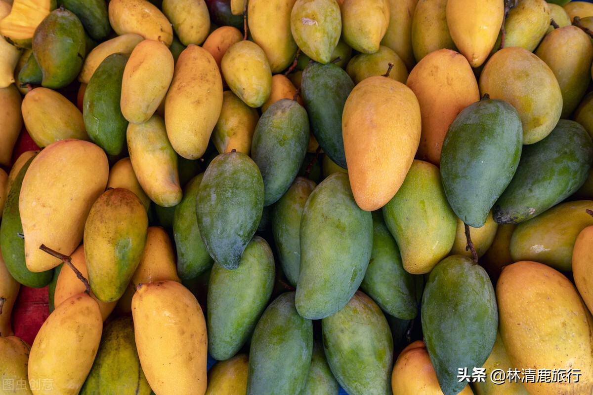 云南旅游住哪里比较好有温泉,云南省冬天暖和又有温泉的城市