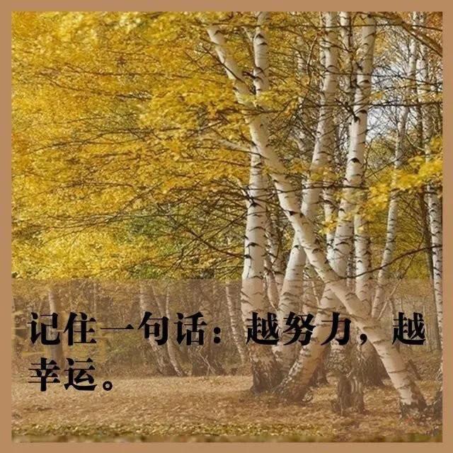 给空调换滤网,08款科雷傲空调滤网在哪里更换