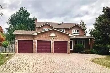 心机女陷害女主杀死自己,心机女为了上位杀原配