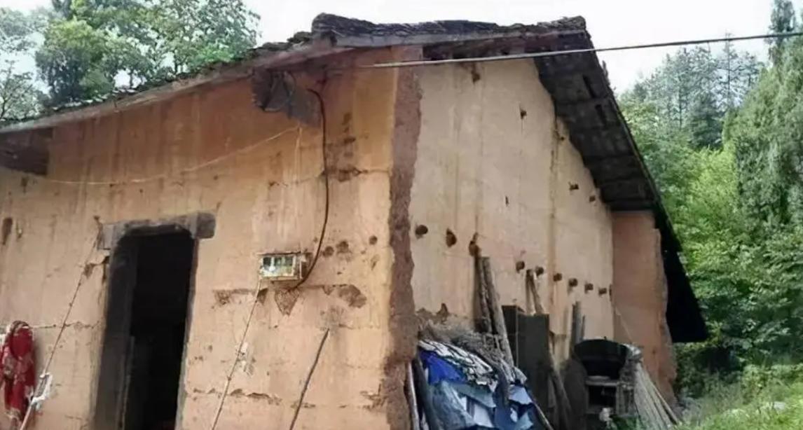 刘强东师妹伍继红为什么成低保户,刘强东和章泽天是原配吗