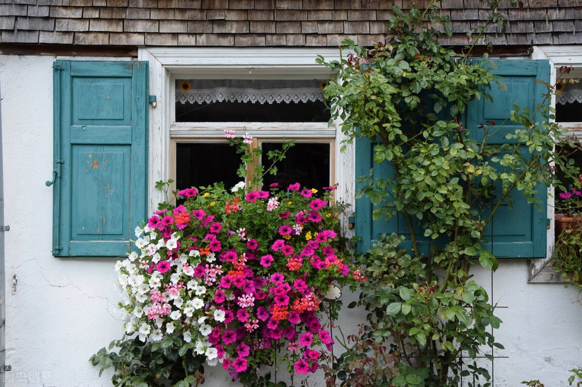 新手零基础学习花店,新手小白如何做线上花店