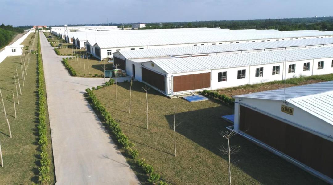 走进县城看发展湖北篇,走进县城看发展德清篇