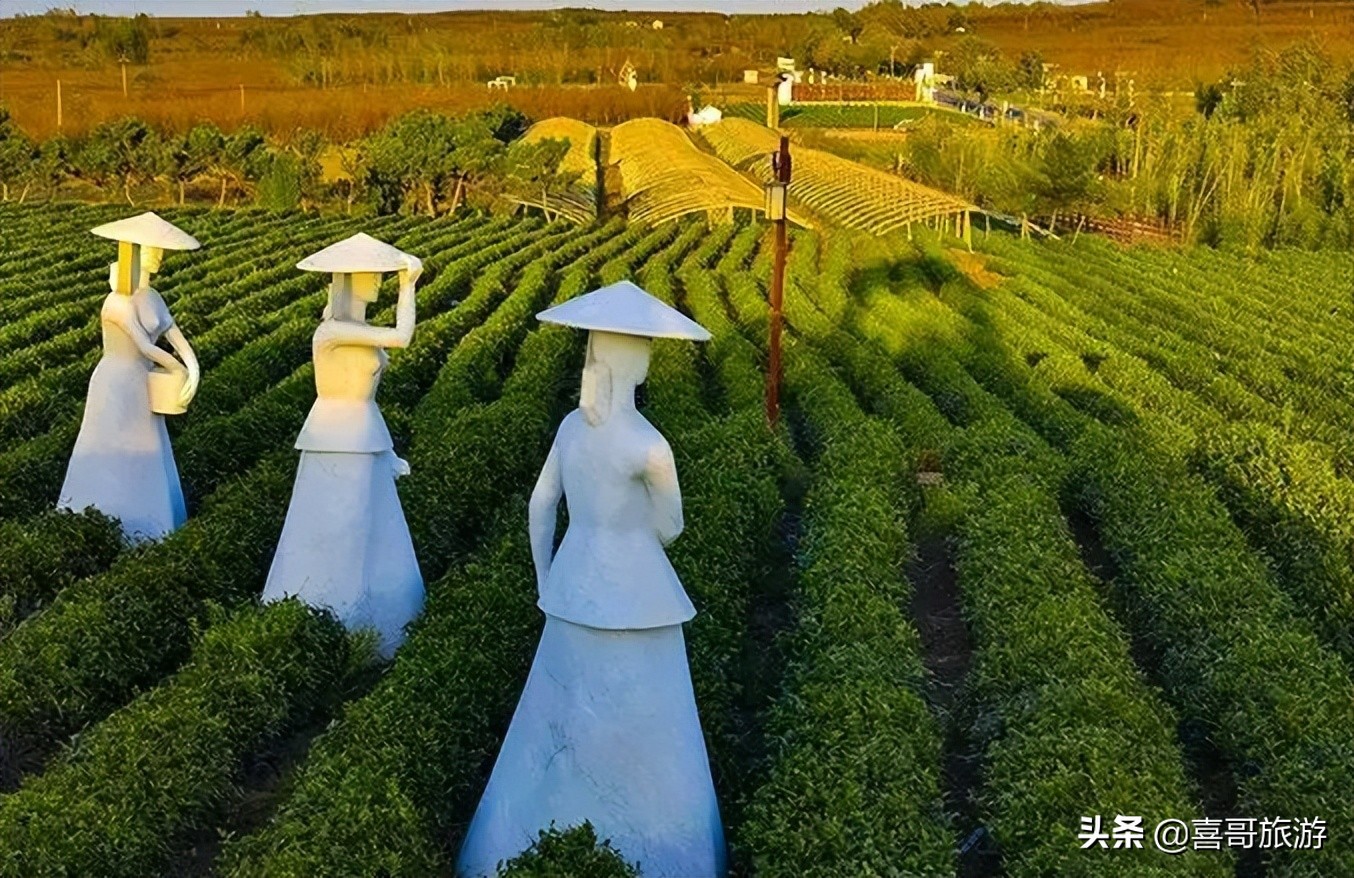 黄岛景点分布图,黄岛春节免费景点