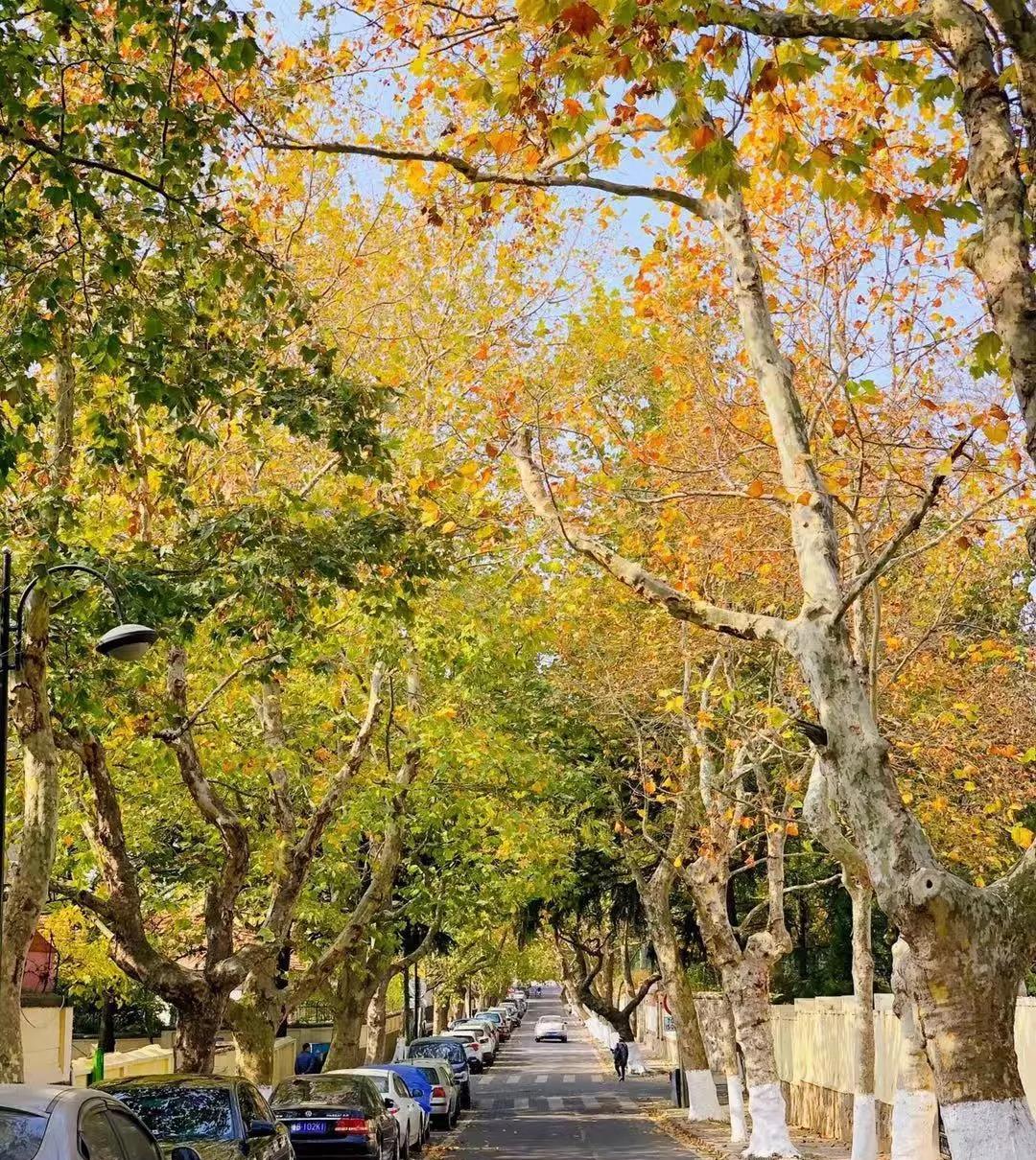 来自八月的浪漫初秋，炫影影像喊你来拍照啦