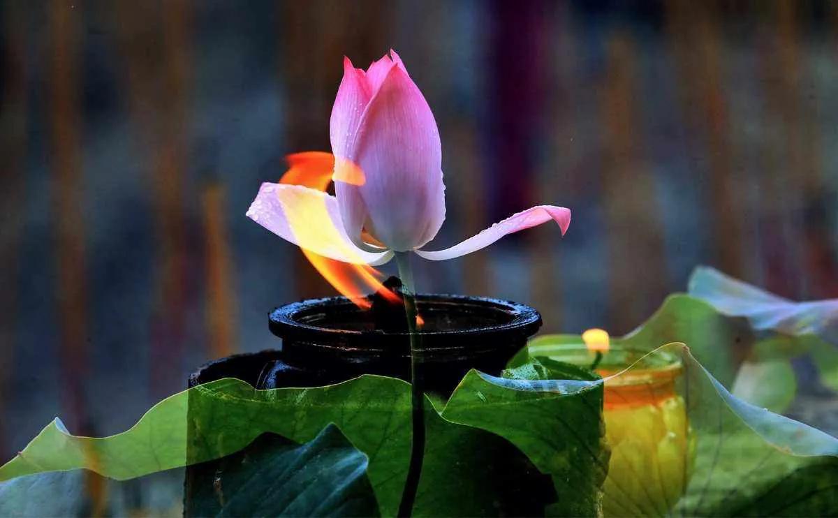 200个心理学效应 (200题心理学题库)