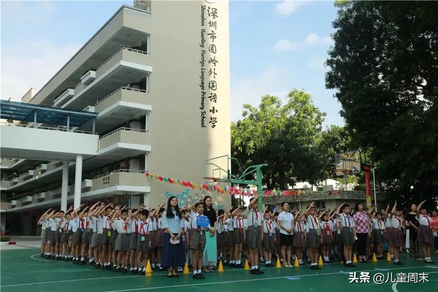深圳各区有哪些热门学校,深圳福田私立小学学校排名