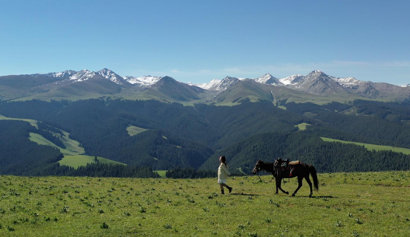 去新疆发现伊犁的美,世界之美尽在伊犁