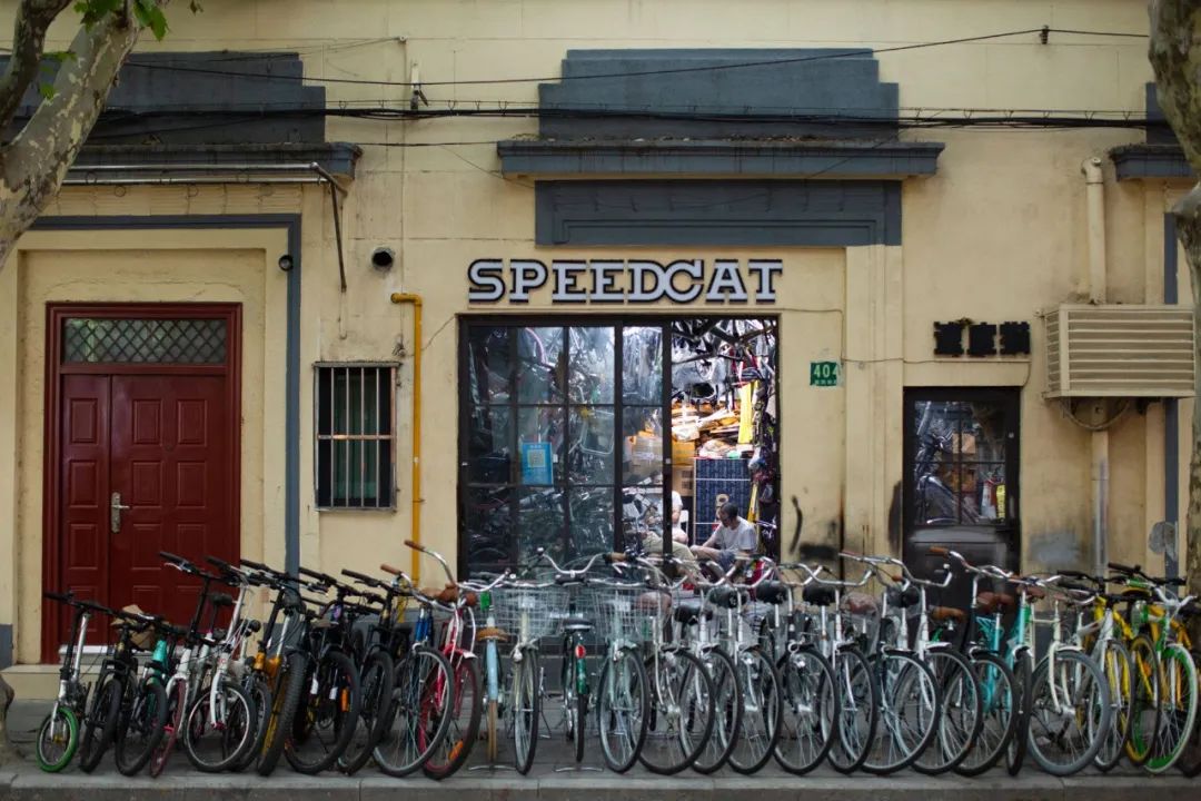 25年最挣钱的行业,25年自行车市场