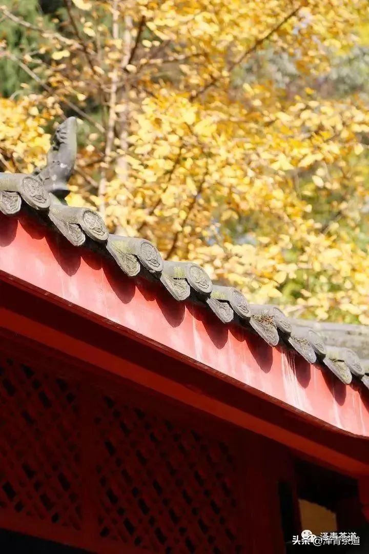 中国10大名茶品牌排名图片,2022年最具品牌价值的10大茶品牌