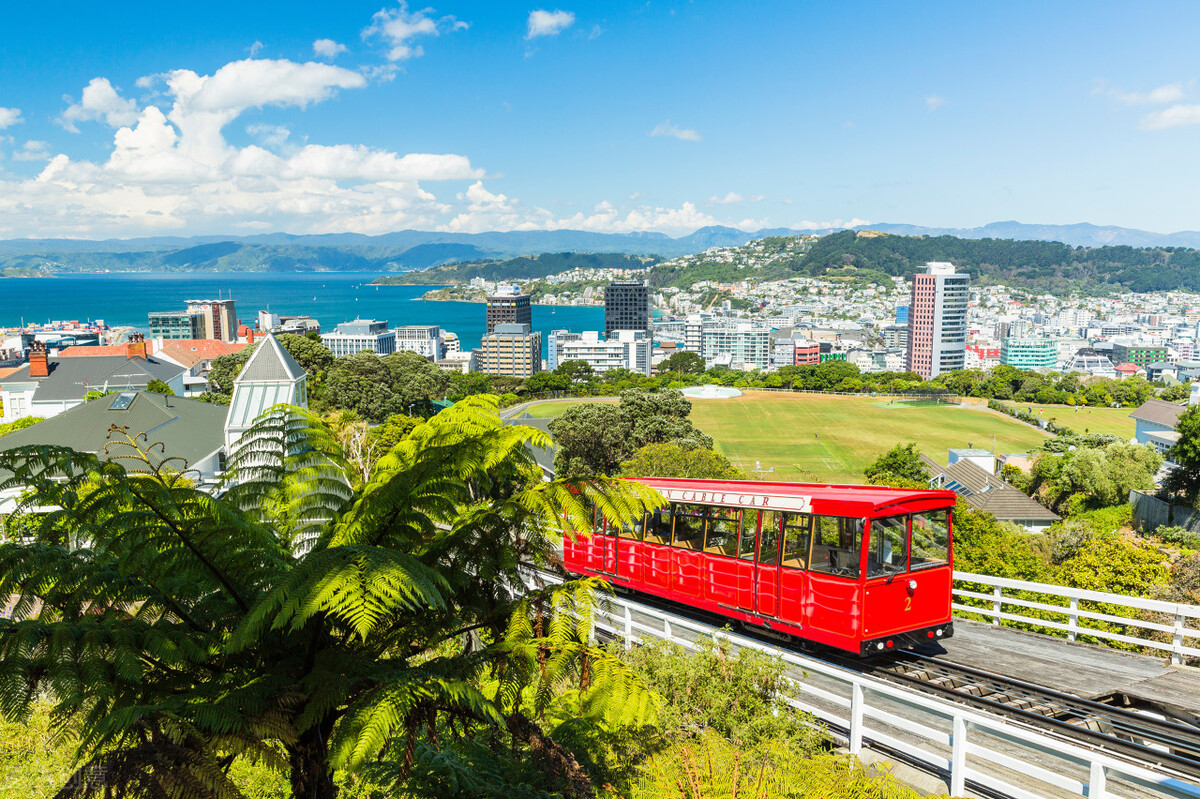 父母移民新西兰福利,新西兰快速移民办理