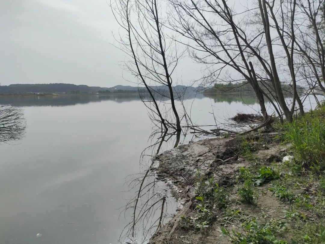 奇闻！唐僧是在射洪白流寺出家？