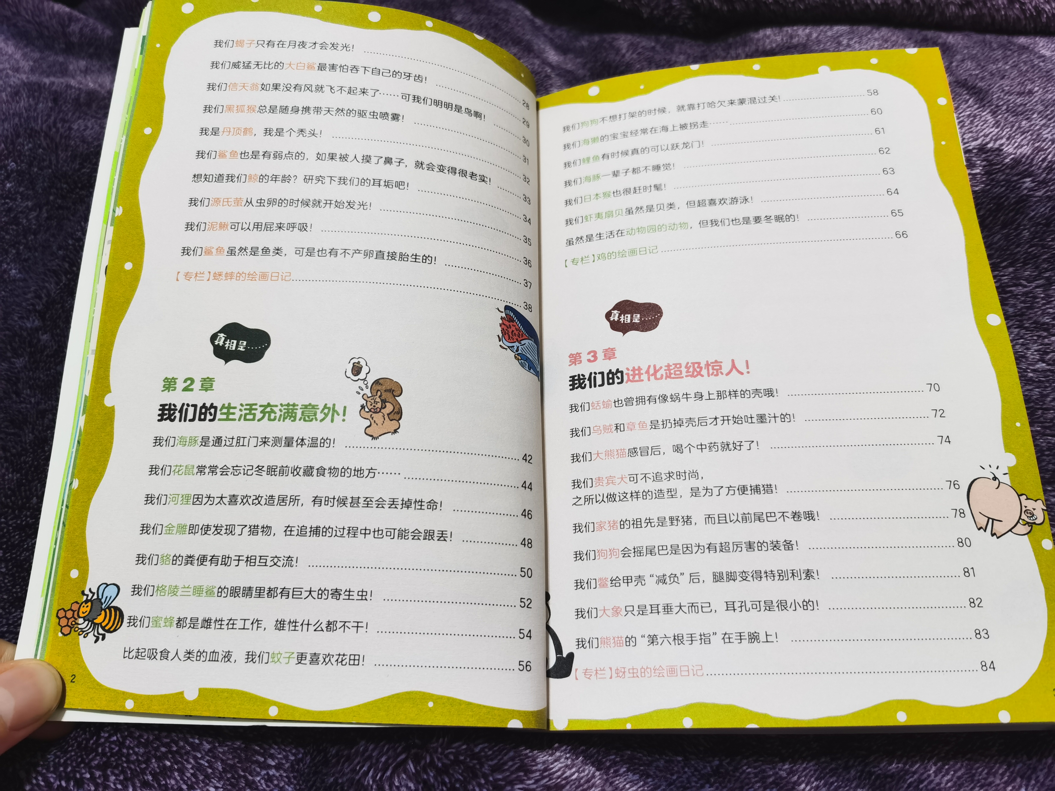 熊猫有几条腿是四条还是两条,你知道熊猫有几根脊椎骨吗