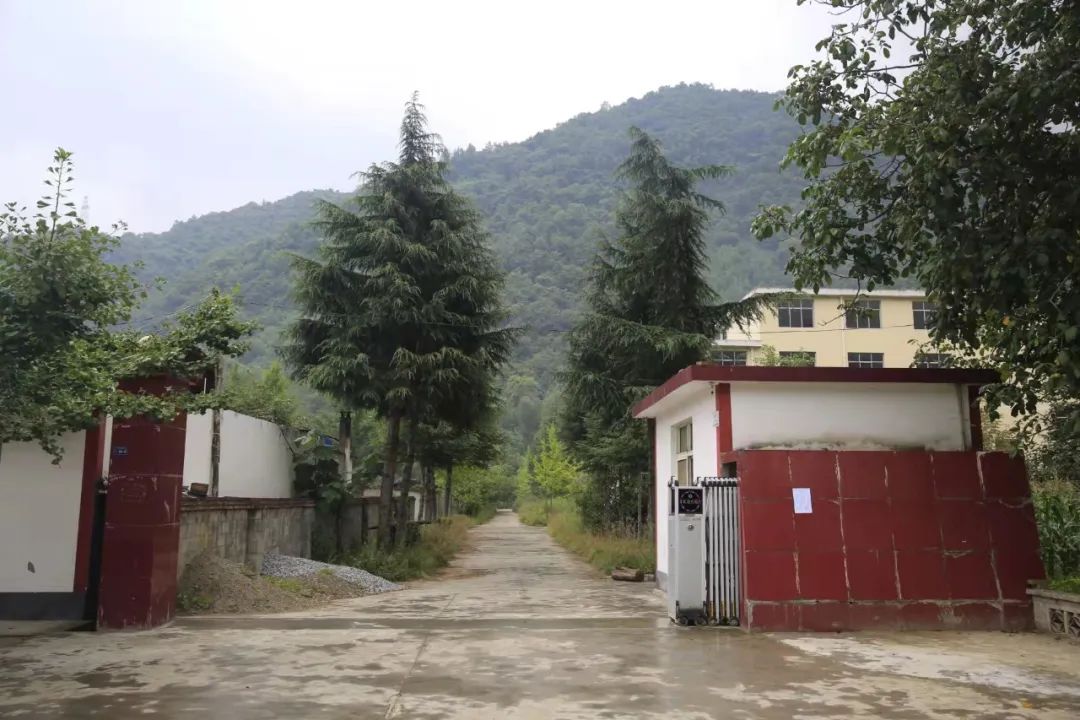 司法拍卖的房子能买吗,司法拍卖网