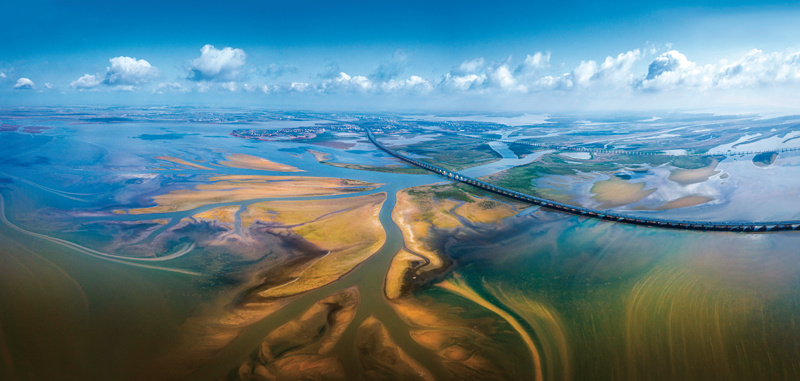 非凡十年林草建设的完美答卷