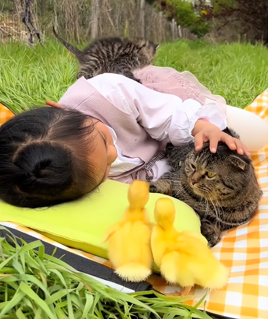 “狗界巅峰”：“把鸭当妈”骑鸭背上，全网最萌小狗吸粉550万