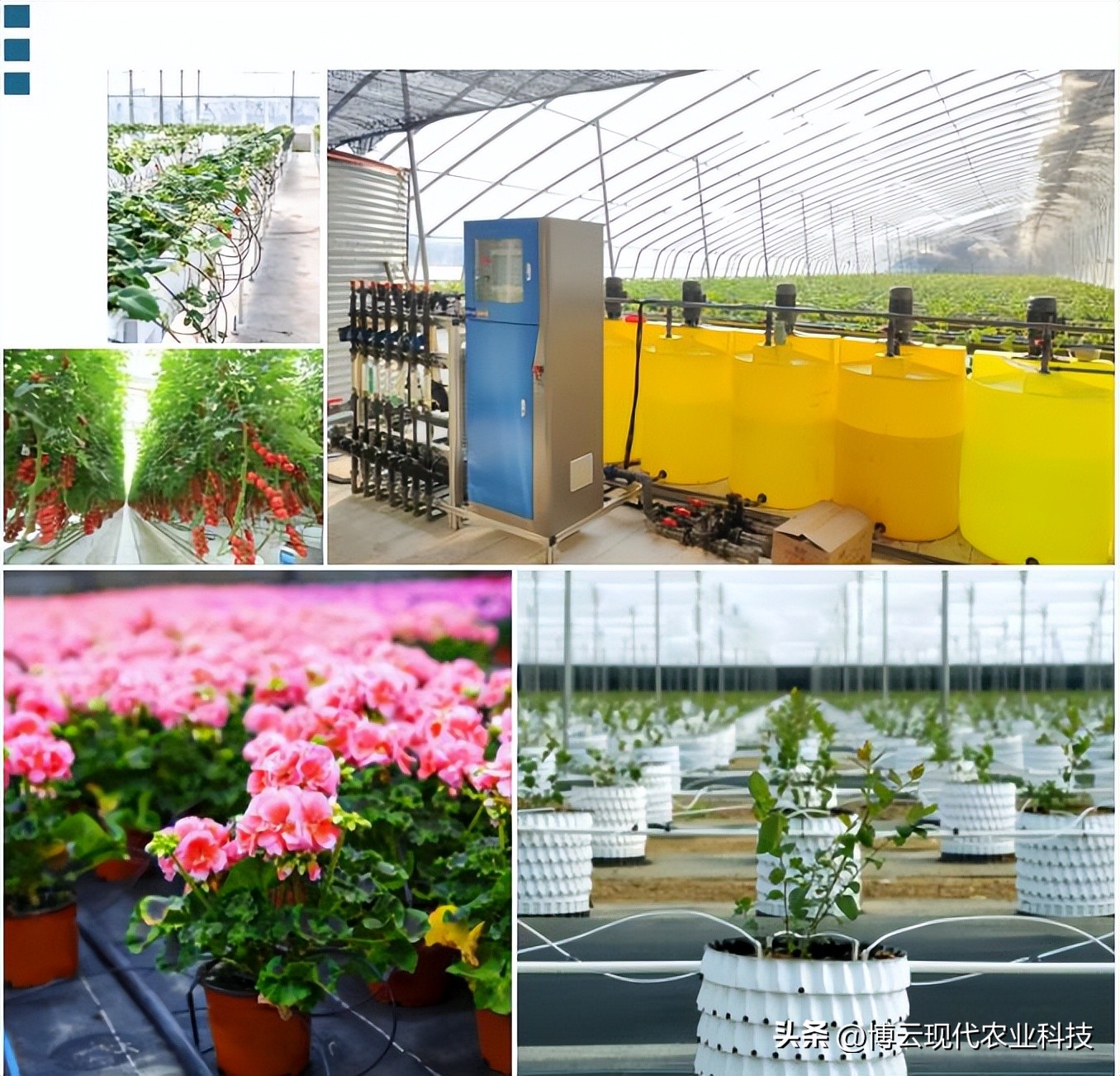 灌溉专用水肥一体机,一机多用好帮手