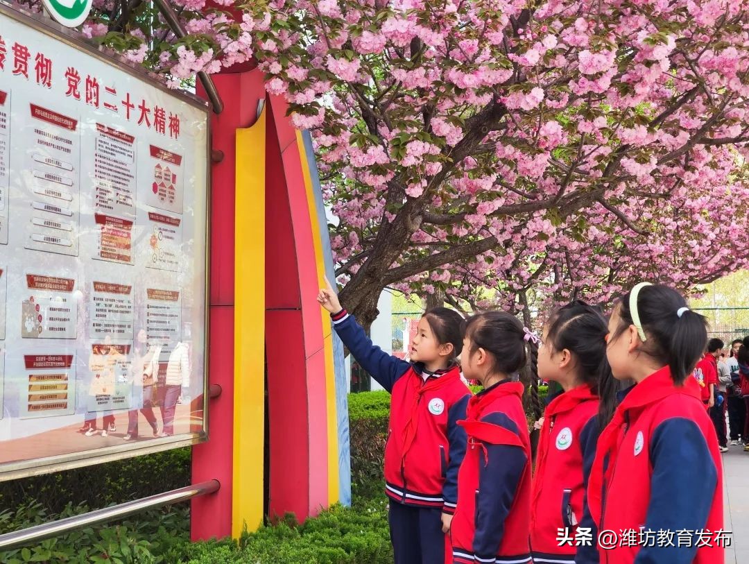 美！潍坊校园春景强势来袭