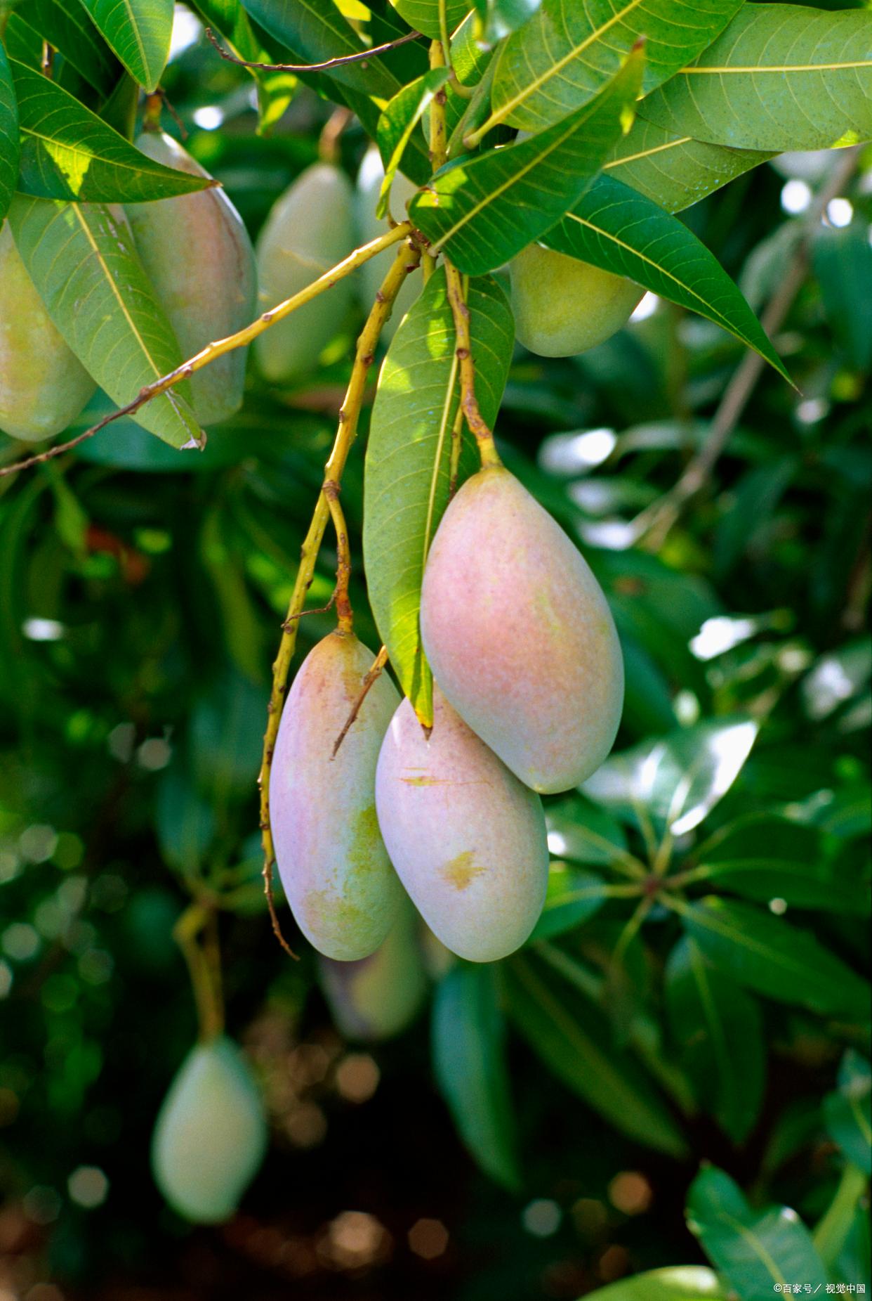去四川成都旅游攻略最佳线路,四川成都旅游3-4天攻略最佳线路