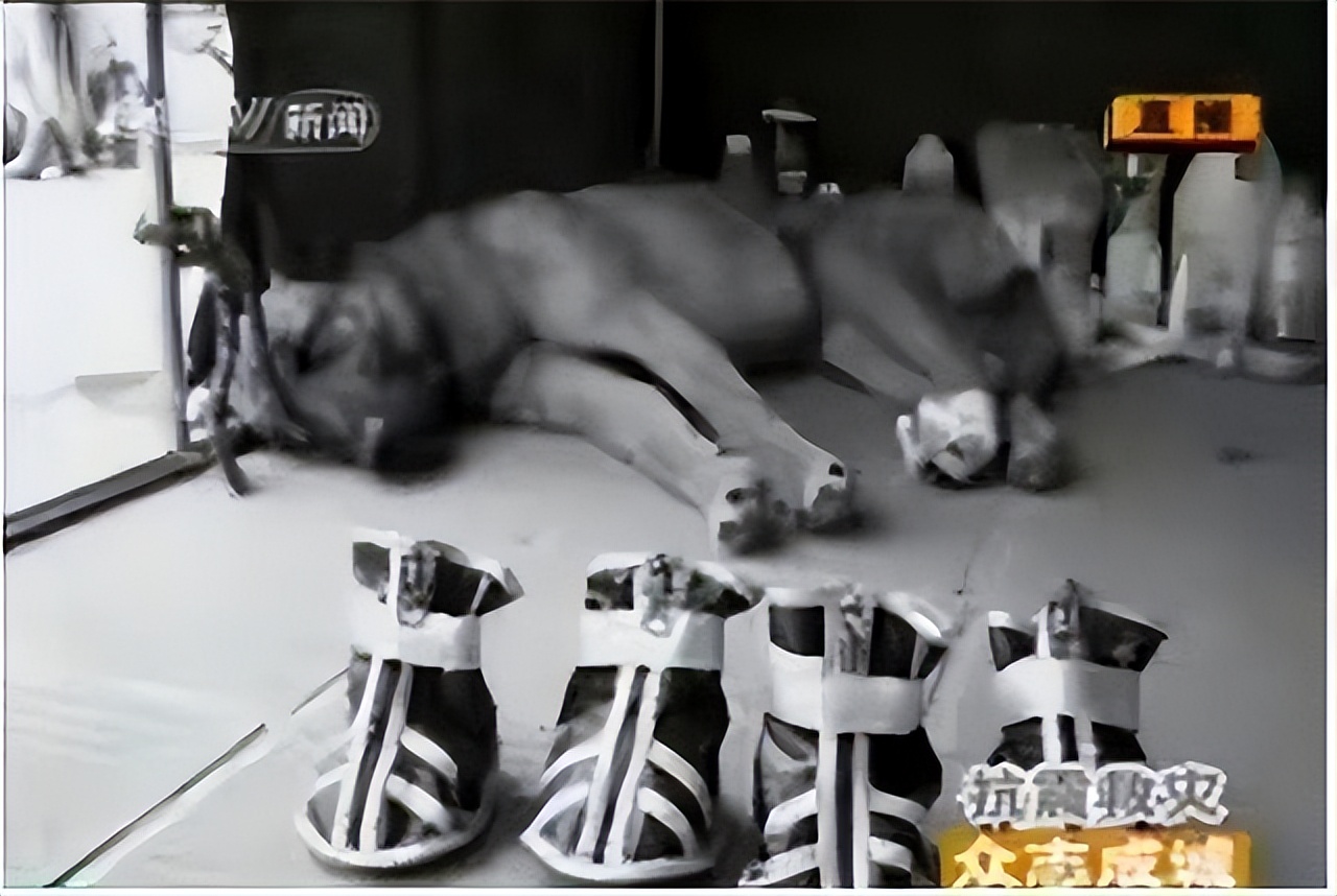 汶川地震搜救战士,汶川地震连续搜救十天十夜