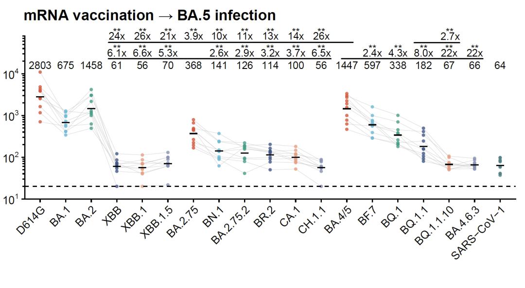 从流感病毒看新冠病毒的未来,流感及新冠病毒科普
