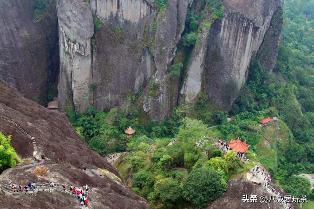兰馨茶叶跟贵天下茶叶哪个品牌好,西双版纳普洱茶叶排名前十名品牌