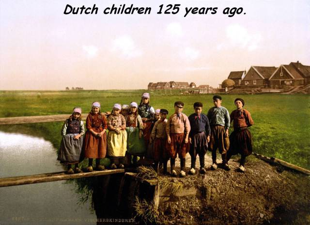 真实大象图片大全可爱,真实野生大象图片