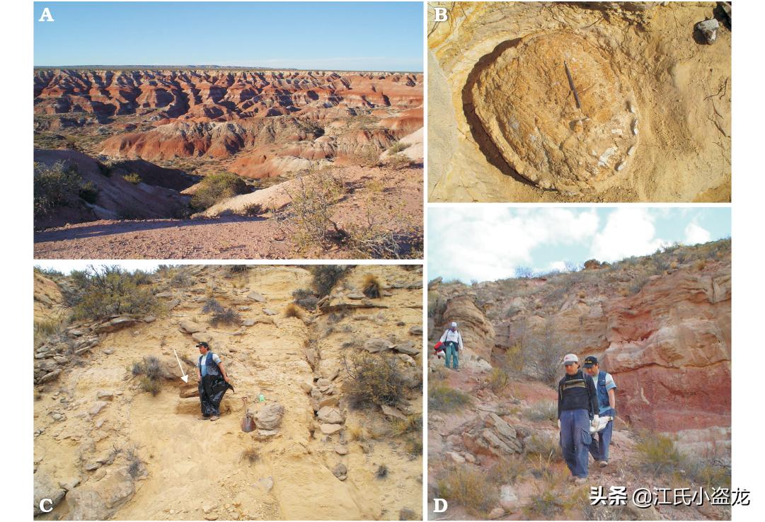 死神翼龙图片,死神翼龙真的存在吗