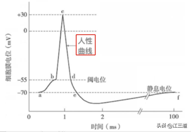 暴涨股票逻辑,股票涨跌奥秘讲解