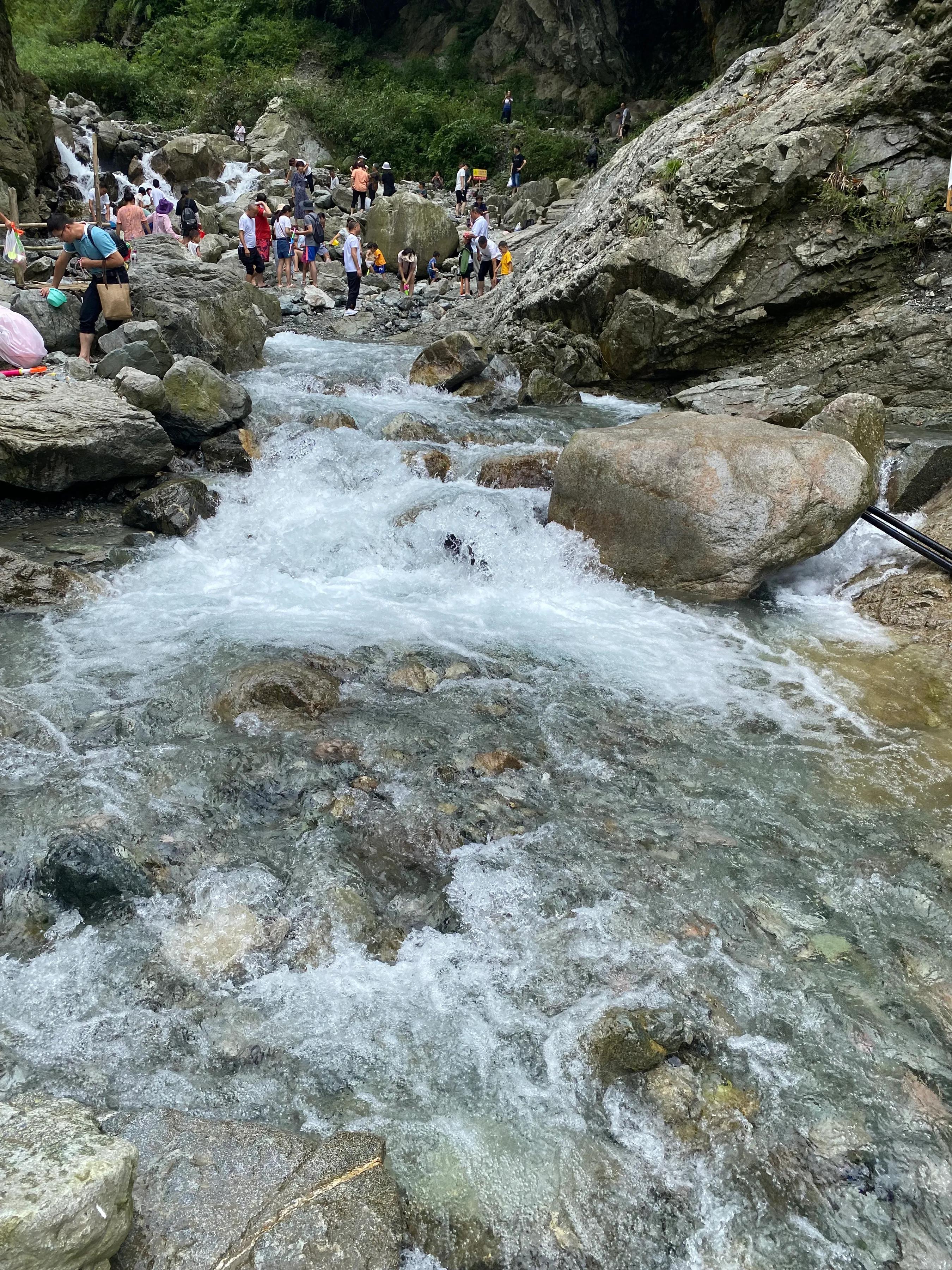 家禽初加工流程图片,家禽的屠宰工艺流程与加工要点