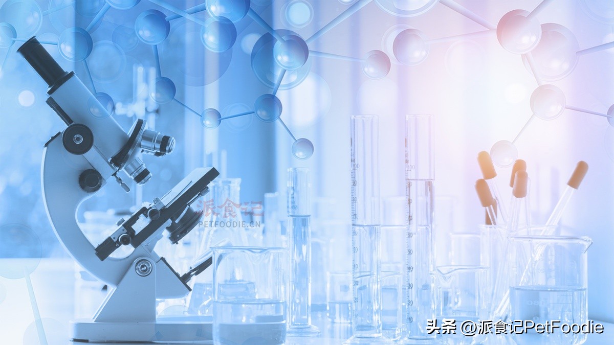 猫的鼻子上是个球,猫的鼻子放大镜