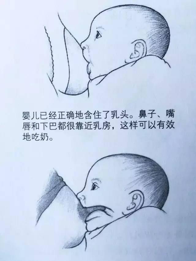 宝宝吃奶的劲有多大,宝宝吃奶的力气