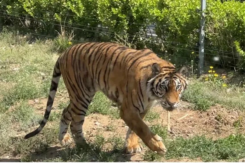 秦皇岛五一放假安排公布连休5天,秦皇岛五一旅游最新通知