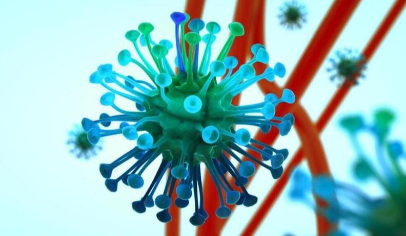 鏂板瀷鐥呮瘨鍙椿浜斿ぉ,鐥呮瘨鍙兘瀛樻椿浜斿ぉ