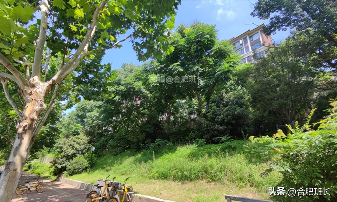 西山林语洋房170大平层装修,乌鲁木齐市保利西山林语洋房价格