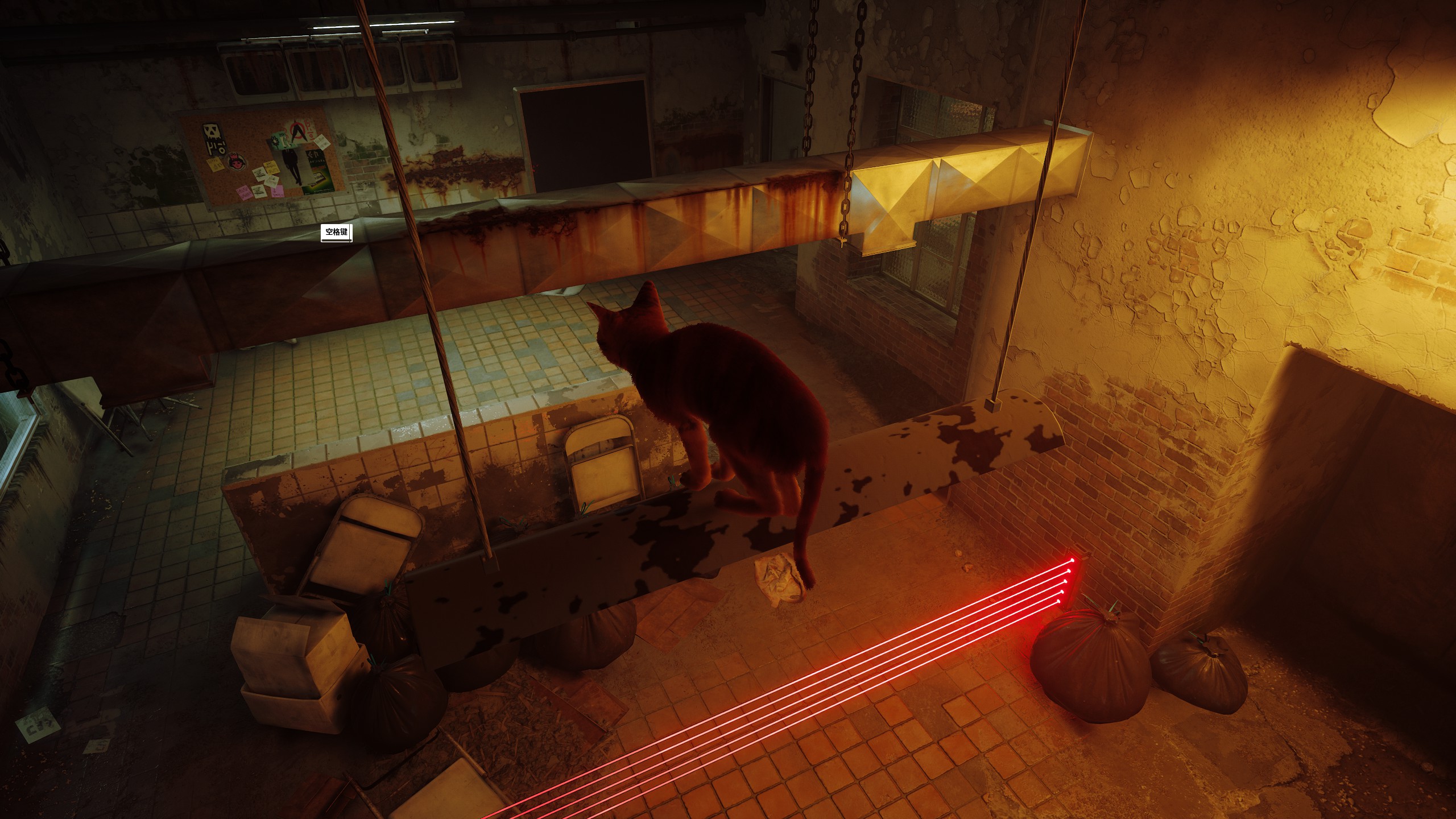 stray新游戏,stray这个游戏怎么样