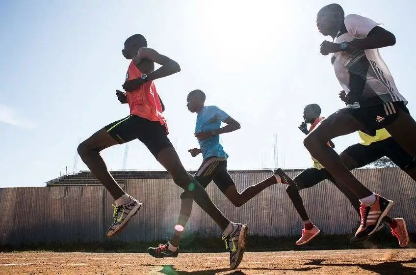 奔跑的国度：牙买加和肯尼亚，为什么是他们？