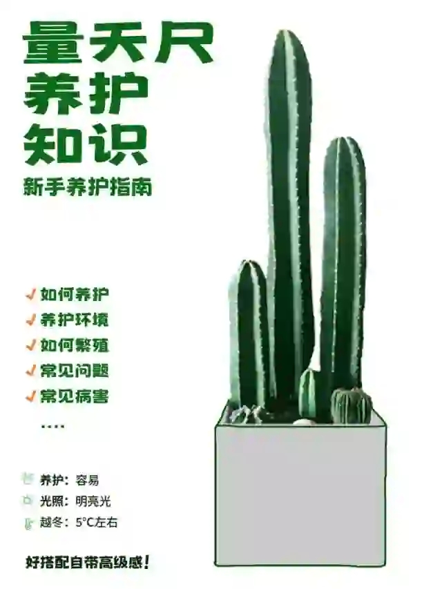 量天尺冬天养护方法,量天尺的寓意及养护