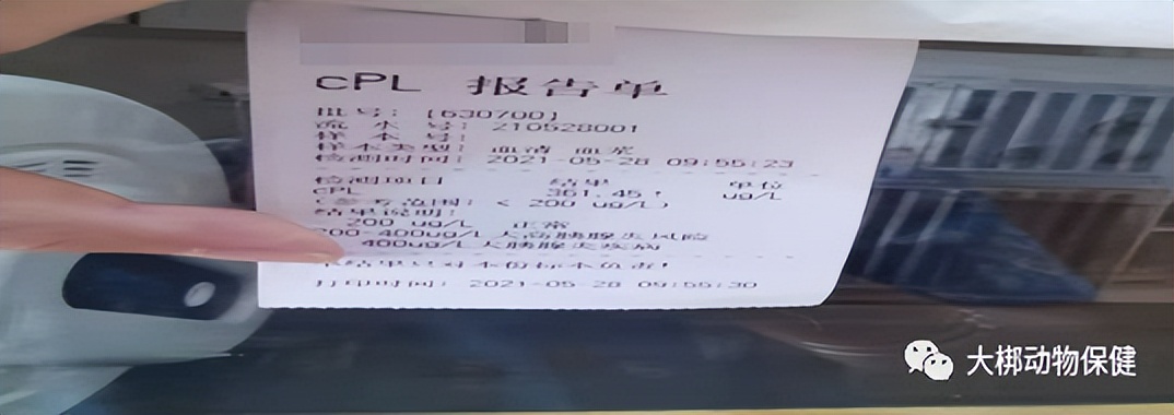 急性胰腺炎疑难病例讨论,狗狗为什么会得急性胰腺炎