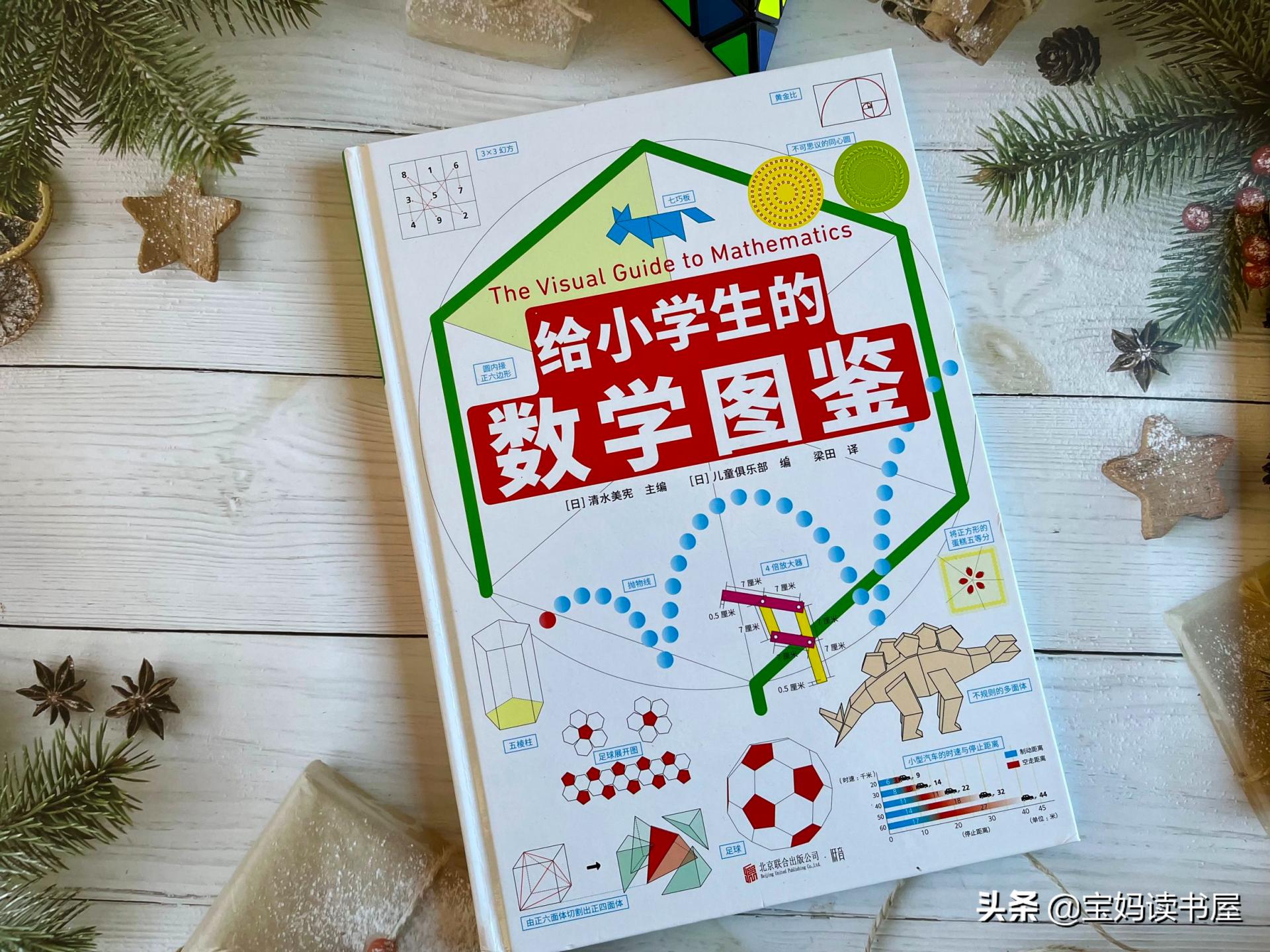 用水果蔬菜做恐龙,用水果和蔬菜做恐龙