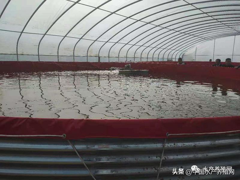 养殖遇困境六种模式帮您找出路,最坑人的50个养殖常识