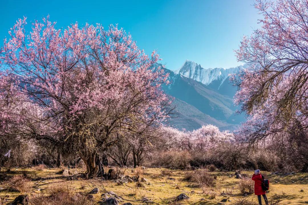 日喀则最美的风景图片,西藏日喀则绝美图片