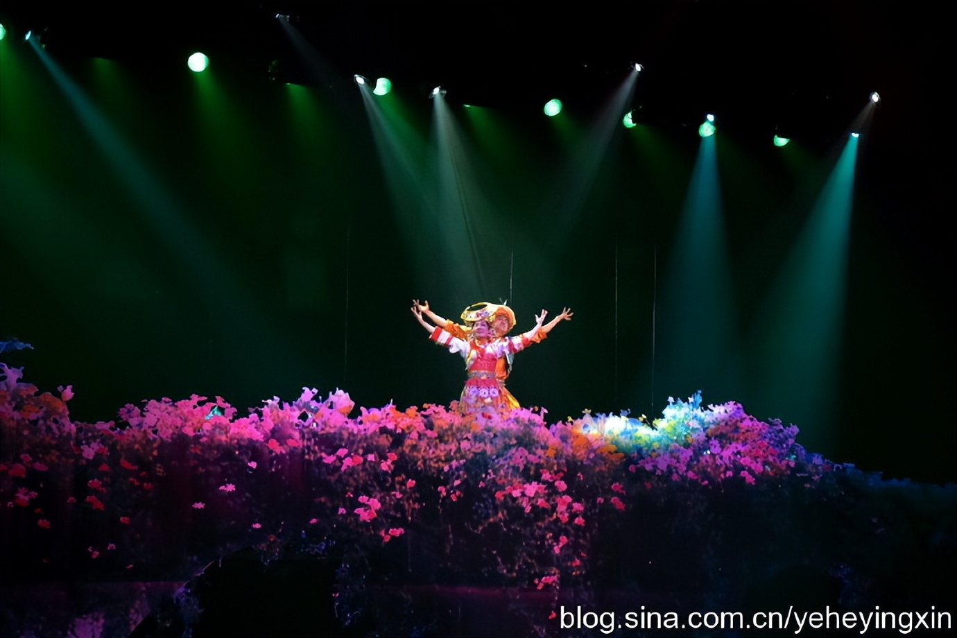 丽江丽水金沙表演好看吗,丽水金沙民族歌舞表演