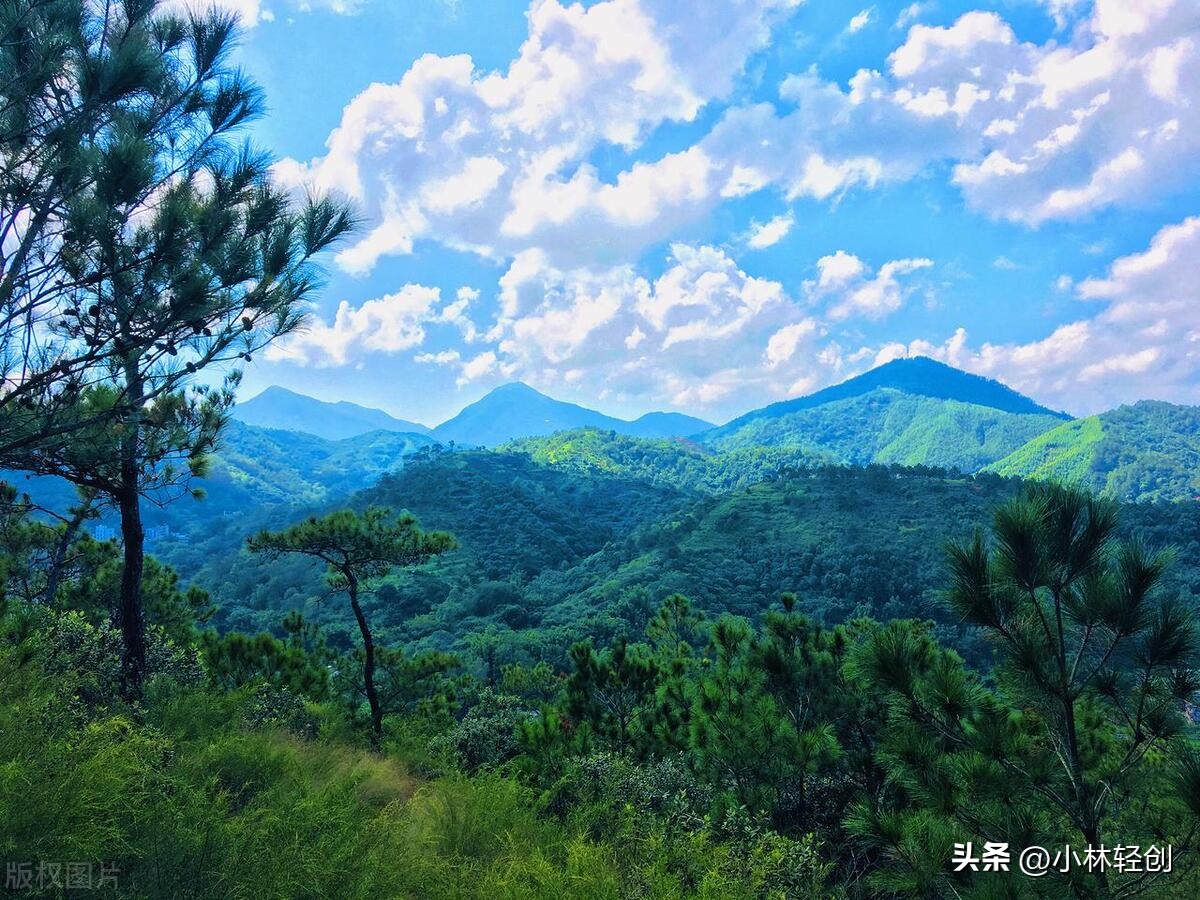 茂名信宜旅游景点大全,茂名凤凰城旅游打卡景点
