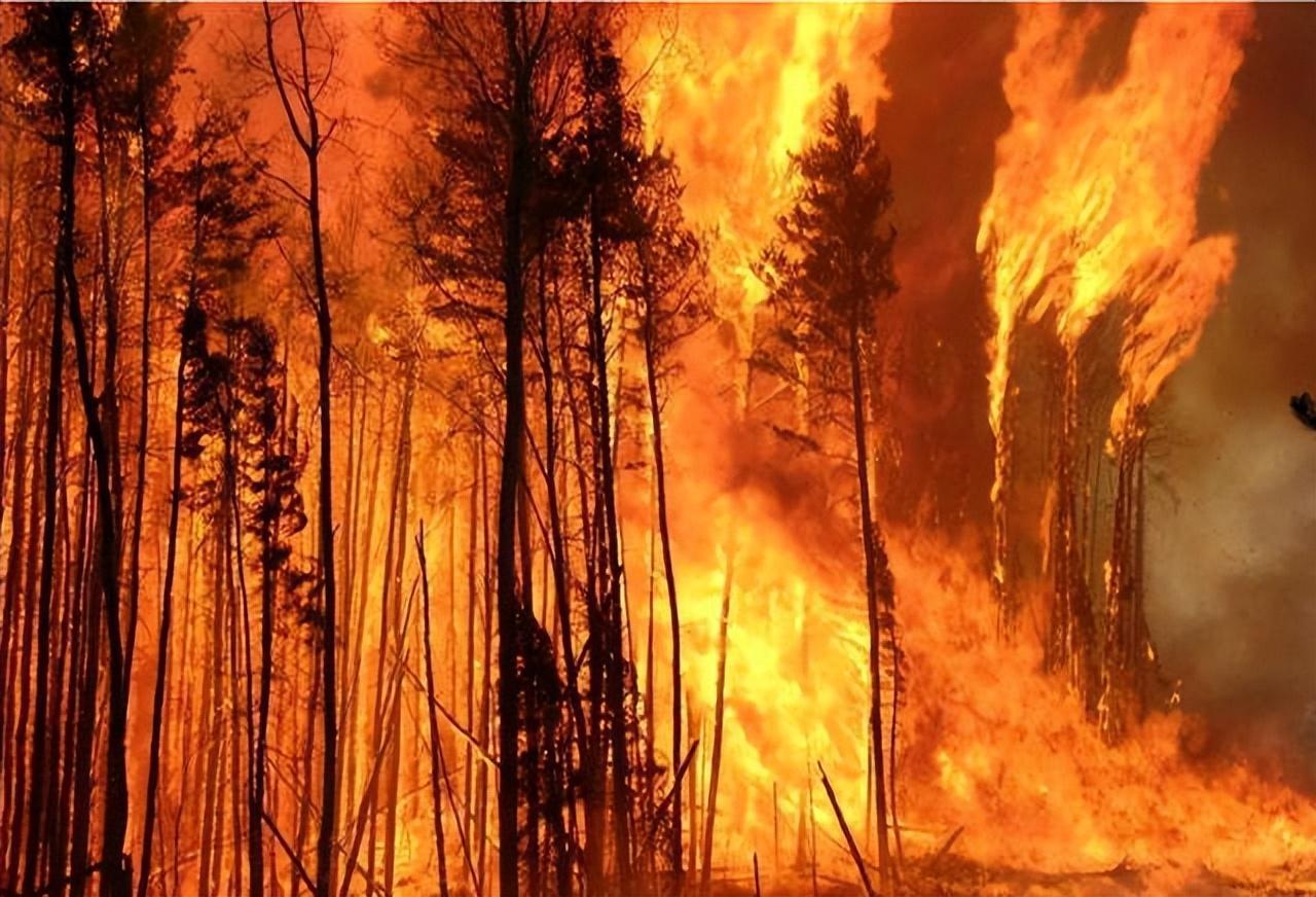 曾经的央视赫赫有名的主持人董倩,央视名嘴董倩现状