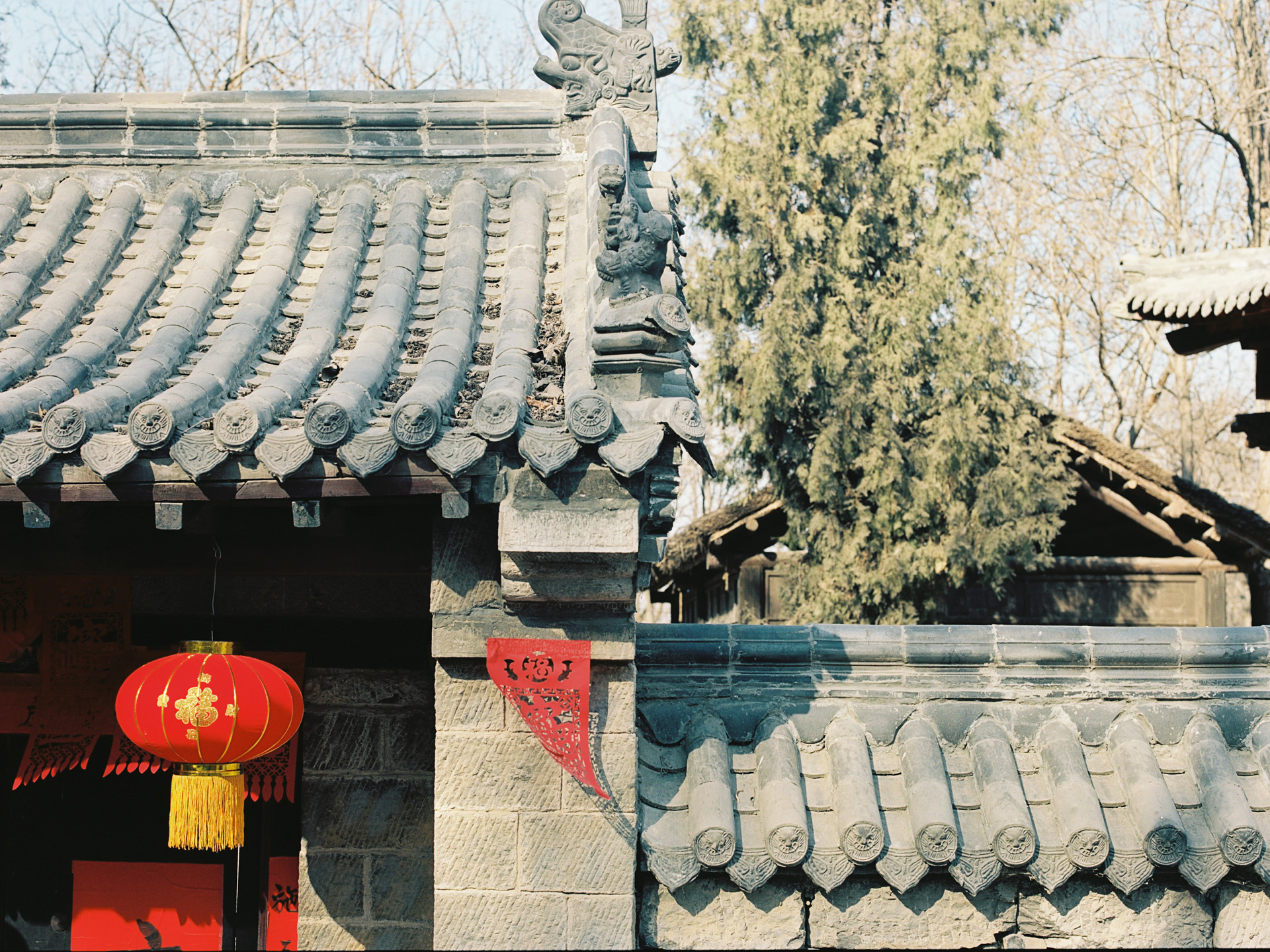 习水黑山羊火锅|来了习水连吃带拿的黑山羊火锅