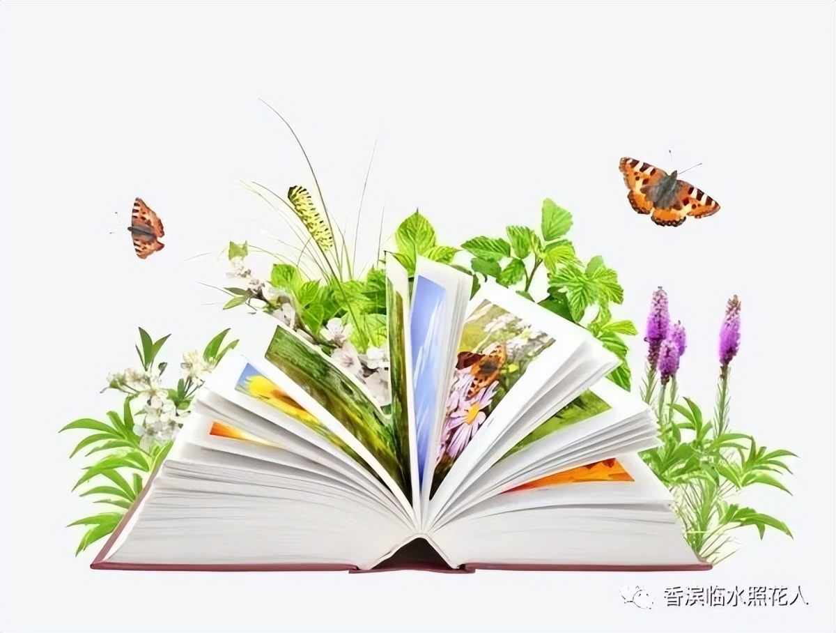 遇见最好的自己初中作文,初中作文多年后遇见最好的自己